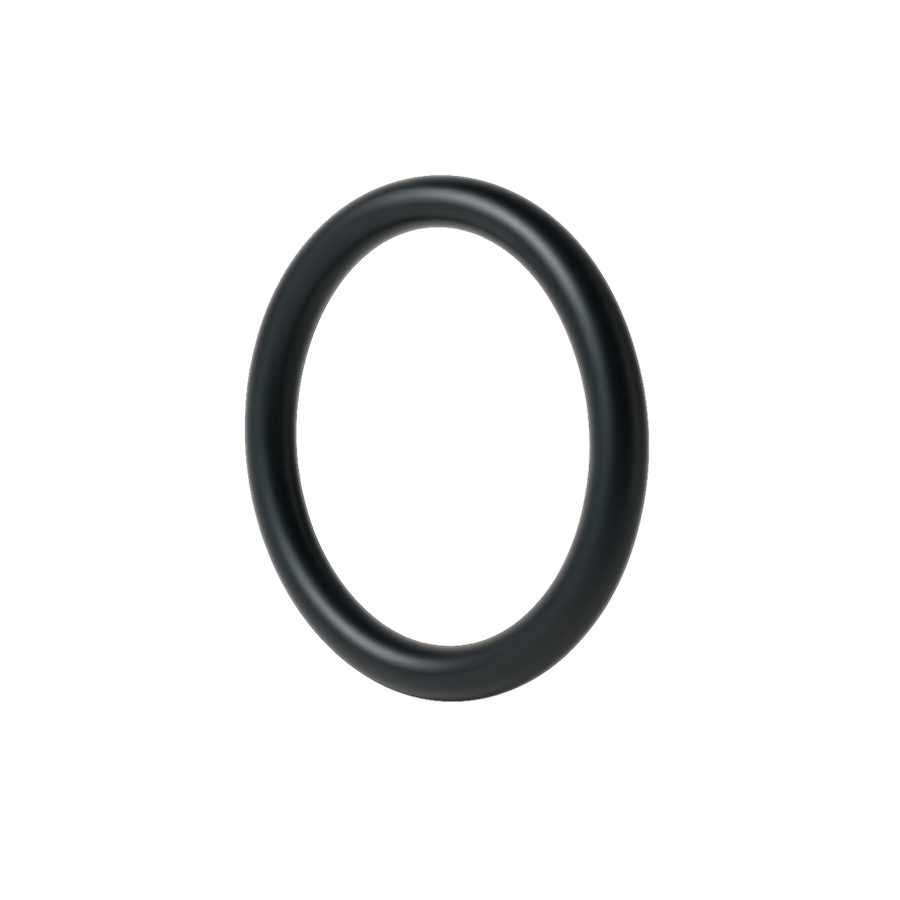 Neoprene O-Rings