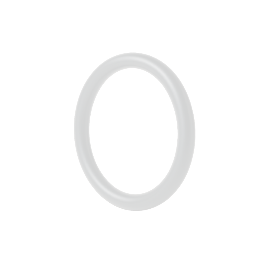 PTFE O-Rings