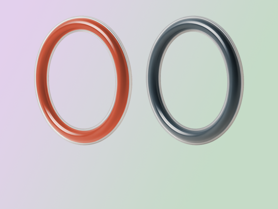 Encapsulated O-rings